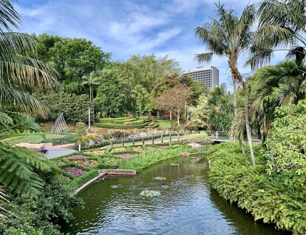 Roma Street Parkland, Brisbane 2020, 04