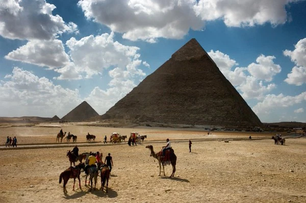 Cairo, Egypt, Pyramids Camels Camels and horses near Khafre's Pyramid, Egypt
