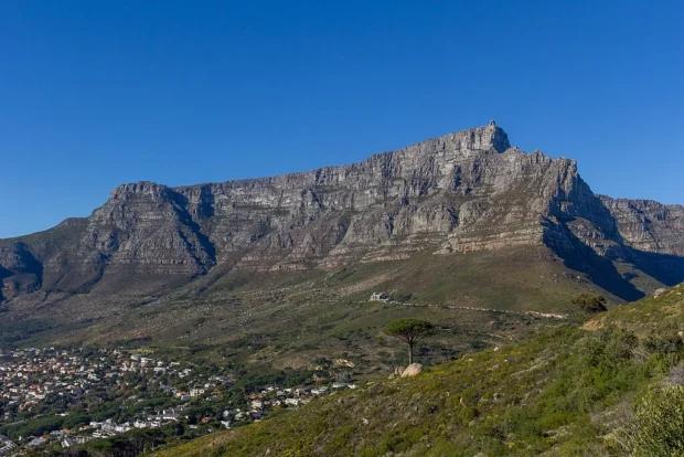 Feel the Pulse of Cape Town’s Table Mountain Heights