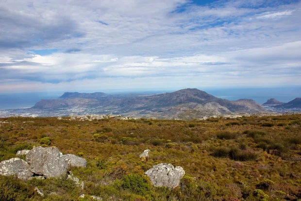 Cape Town, South Africa, Table Mountain Plateau Table Mountain, Cape Town (MP) 2018 129