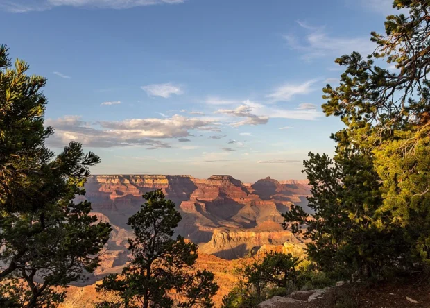 Discover Grand Canyon in Detail: Nature, Paths, and Essential Stops