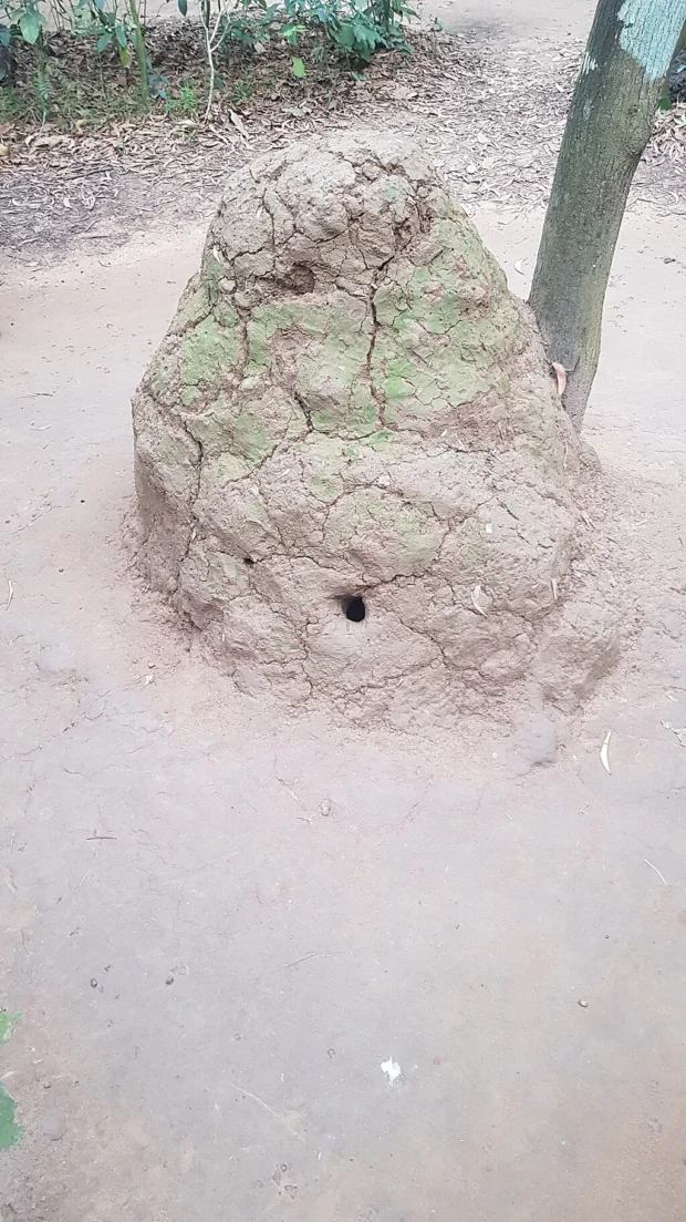 Cu Chi Tunnels Vietnam war 7