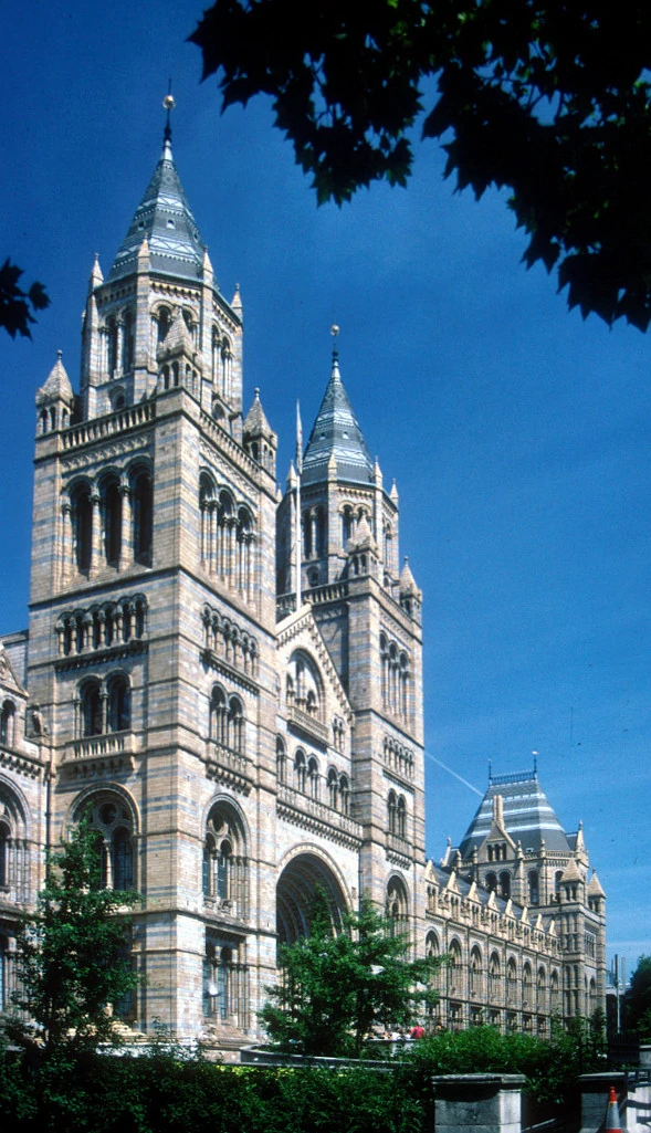 Step Into London’s Natural History Museum and Unearth Wonders