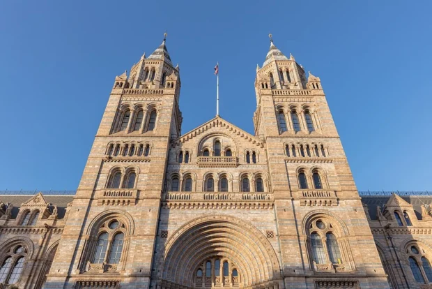 London, United Kingdom, Natural History Museum London Museo de Historia Natural, Londres, Inglaterra, 2022-11-25, DD 37