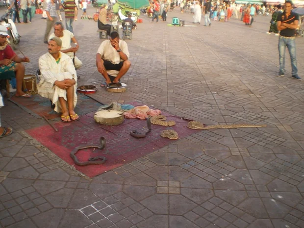 Marrakesh, Morocco, Jemaa El-fnaa Snake Charmers La place Jemaa El Fna