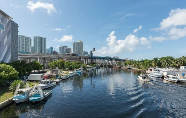 Let Your Curiosity Drift Along Miami’s Shores and Streets