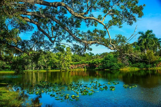 Miami, United States, Fairchild Tropical Botanic Garden Miami - Fairchild Tropical Botanic Garden - (12259898863)