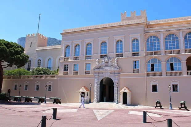 Cannons and Prince's Palace of Monaco IMG 1192