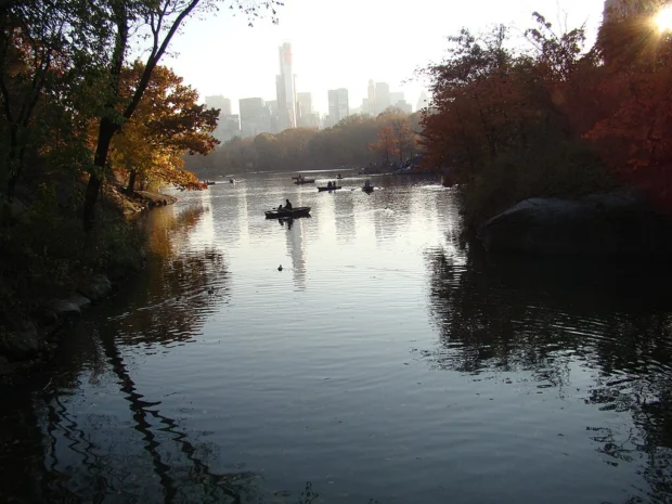 New York, United States, Central Park Autumn Central Park (8186594059)