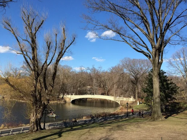 New York, United States, Bow Bridge Central Park Bow Bridge - Central Park - New York - USA - panoramio