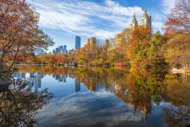 Central Park’s Heartbeat: Walks, Stories, and Sights in New York