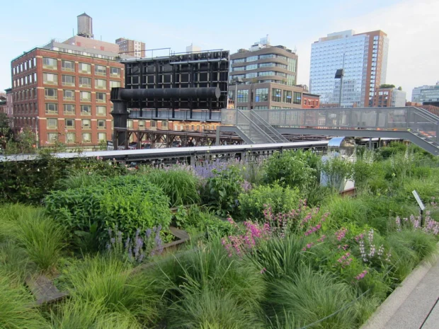 New York, United States, High Line High Line, New York City (2014) - 13