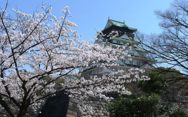 Osaka, Japan, Osaka Castle Plum Blossoms Osaka Castle Keep Tower in 201504 003