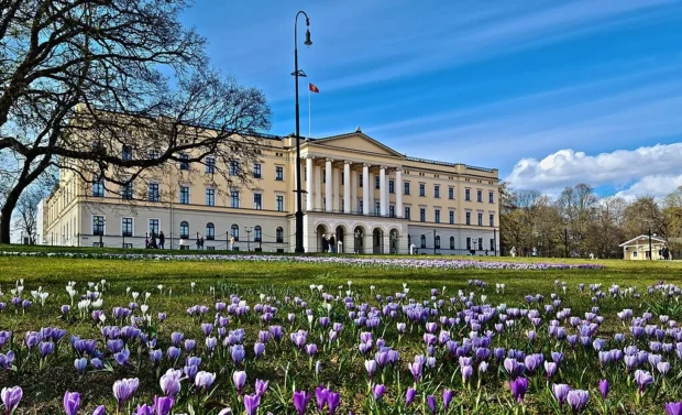 Unwind in Oslo: Iconic Sights and Authentic Moments Await