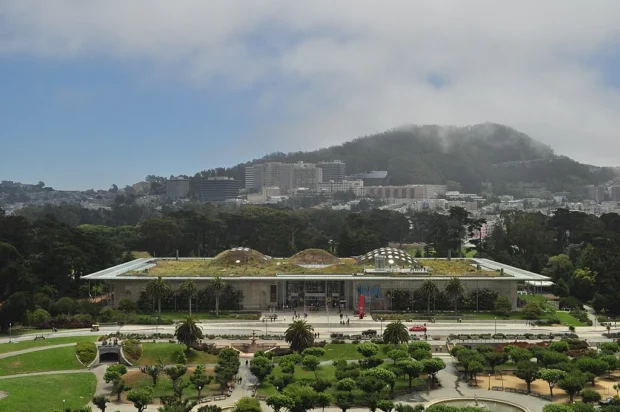 San Francisco, United States, California Academy of Sciences California Academy of Sciences from Hamon Observation Tower 01