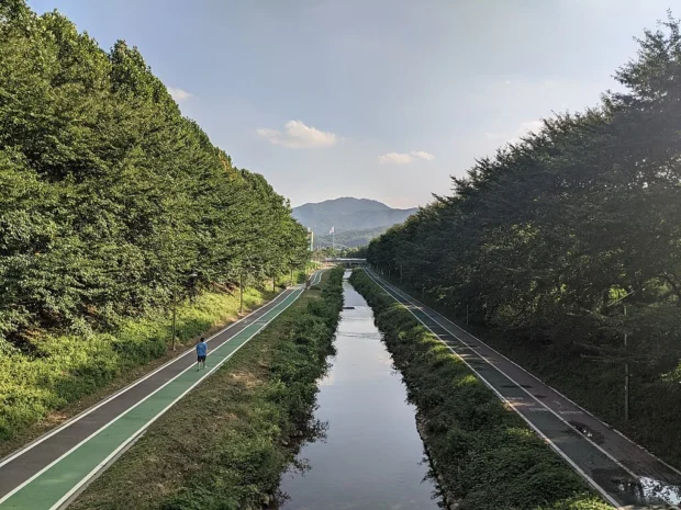 Yangjae Citizens' Forest - 20211002