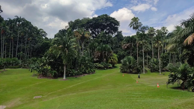 Palm Valley, Singapore Botanic Gardens (133550)