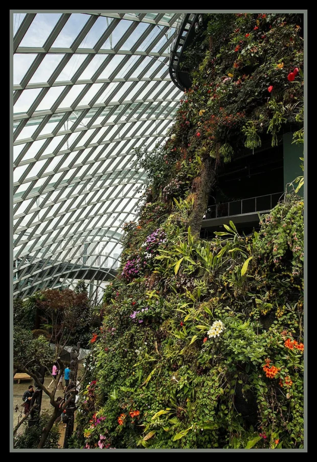 Singapore, Gardens By The Bay Dome Gardens by the Marina Bay - Dome Clouds-10 (8323407968)