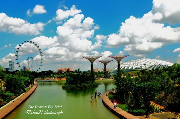 Singapore, Gardens By The Bay Dragonfly Lake Dragonfly Lake, Gardens by the Bay, Singapore - 20111117-02