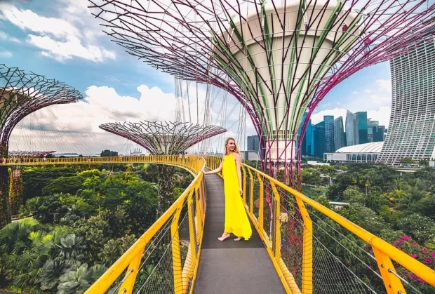 Singapore, Ocbc Skyway Gardens by the Bay in Singapore (44102457322)
