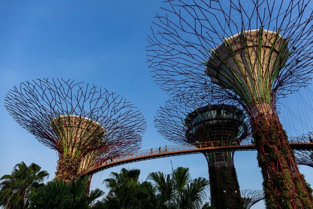 Singapore, Supertree Grove 20190819 Gardens by the Bay Supertree Grove-5
