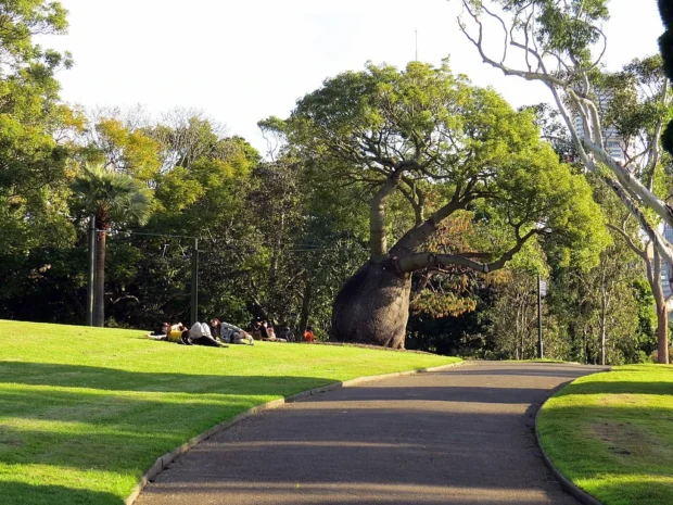 The Royal Botanic Gardens - Sydney, Australia (9533730468)