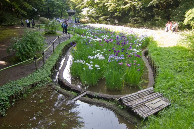 Meiji-Shrine-Innergarden-01