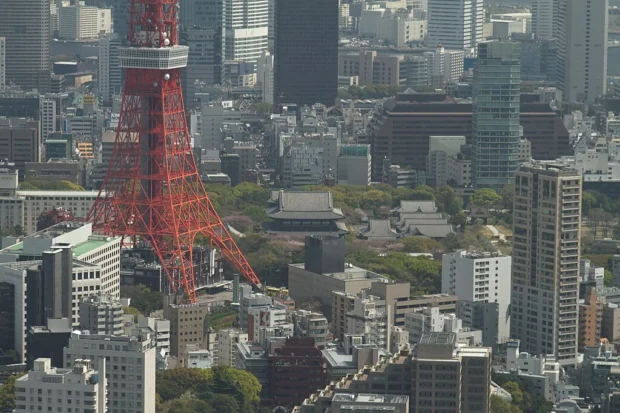 Tokyo, Japan, Tokyo Tower Zojoji Temple Tokyo Tower and Zojoji temple (7475558188)