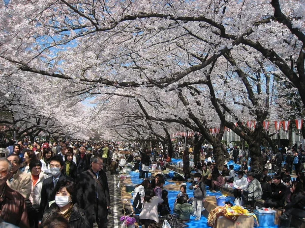 Tokyo, Japan, Ueno Park April 2009, hanami in Ueno Park -91288