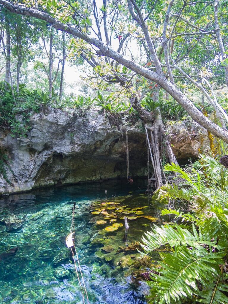 Gran cenote Tulum (20768793873)