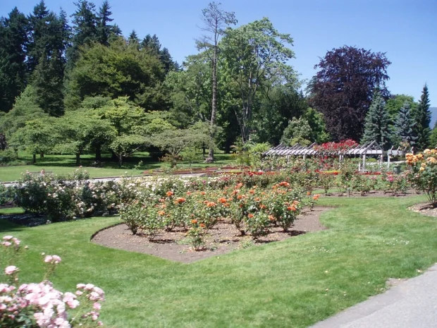 Vancouver, Canada, Stanley Park Rose Garden Rose Garden, Stanley Park - panoramio (3)